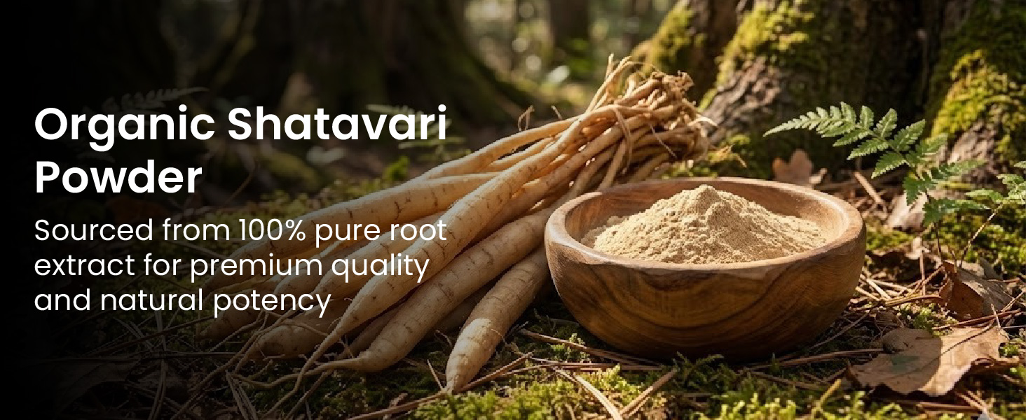 Vlado's Himalayan Organics Shatavari Powder 100gms | Promotes Lactation Naturally | Helps Maintain Hormonal Balance