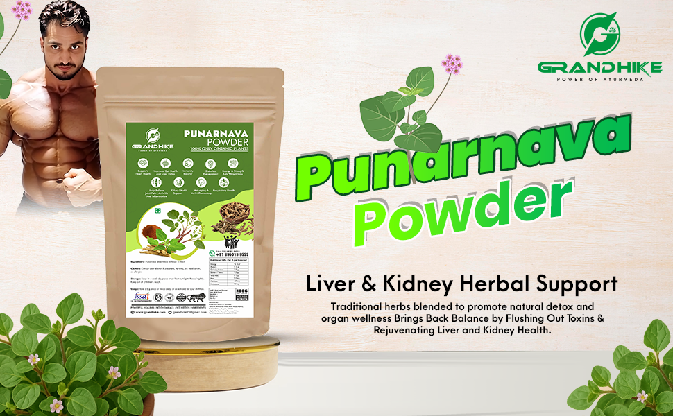 Grandhike Power of Ayurveda Natural Detox Ayurvedic Punarnava Organic Root Powder Churna | Boerhavia Diffusa Root Powder | Urinary Wellness & Kidney Health Support | Ayurvedic Supplement for Heart, Gut, Immunity, Joint Health 100g