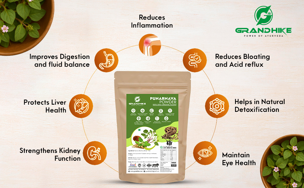 Grandhike Power of Ayurveda Natural Detox Ayurvedic Punarnava Organic Root Powder Churna | Boerhavia Diffusa Root Powder | Urinary Wellness & Kidney Health Support | Ayurvedic Supplement for Heart, Gut, Immunity, Joint Health 100g