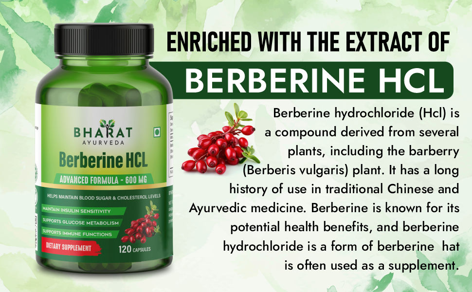 Berberine HCL 600mg Capsules – Herbal Supplement with Barberry Extract for Metabolism, Insulin Sensitivity & Antioxidant Support – Ayurvedic Formula, 120 Capsules
