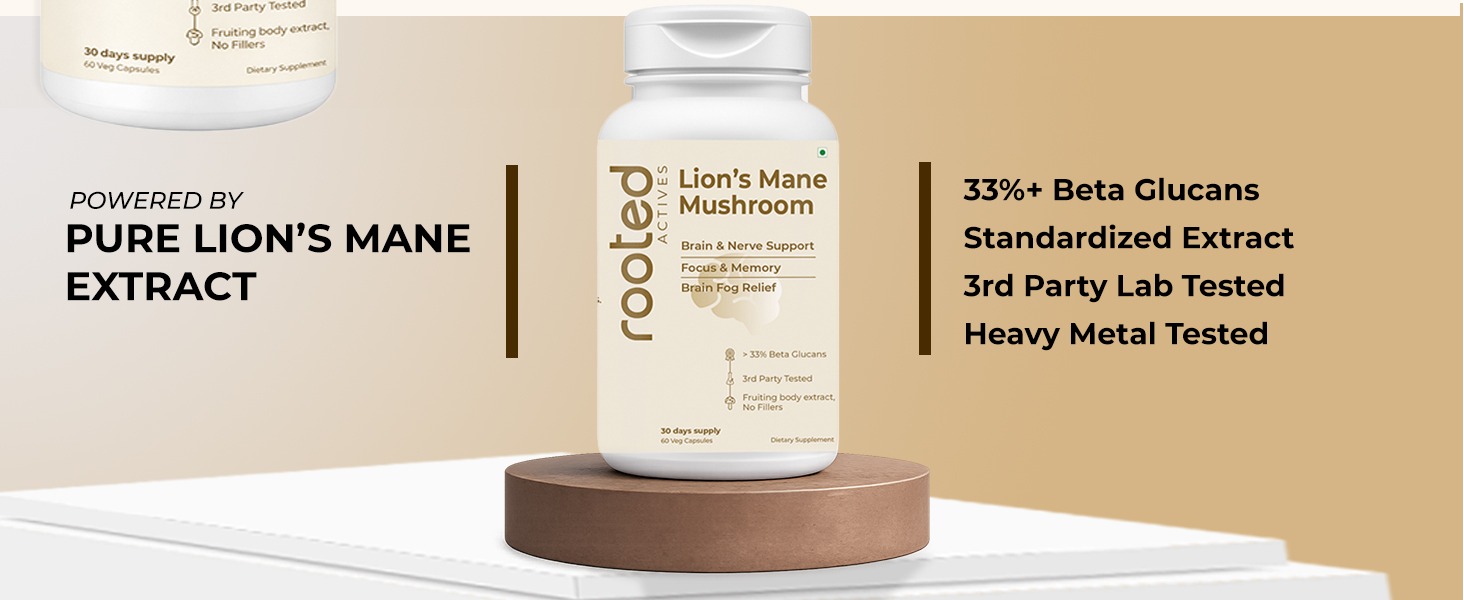 Rooted Active's Lion's Mane Mushroom for Brain Health Support - Mushroom Support for Focus & Memory Function - Immune & Nervous System Supplement | 60 Caps