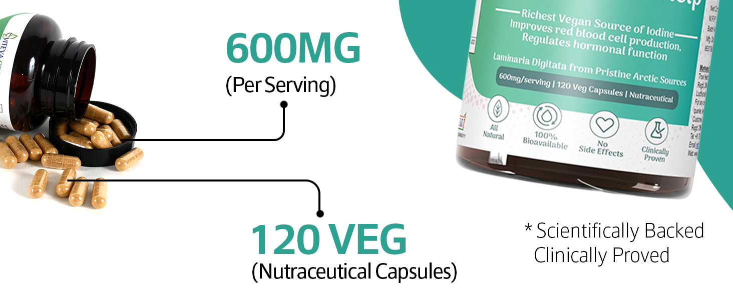 Sea Kelp Capsules 600mg 120 Veg Capsules - Icelandic Laminaria Digitata Thyroid Supplement - Natural Antioxidant for Metabolism & Hormone Balance- Sea Kelp Supplement for Iodine Support