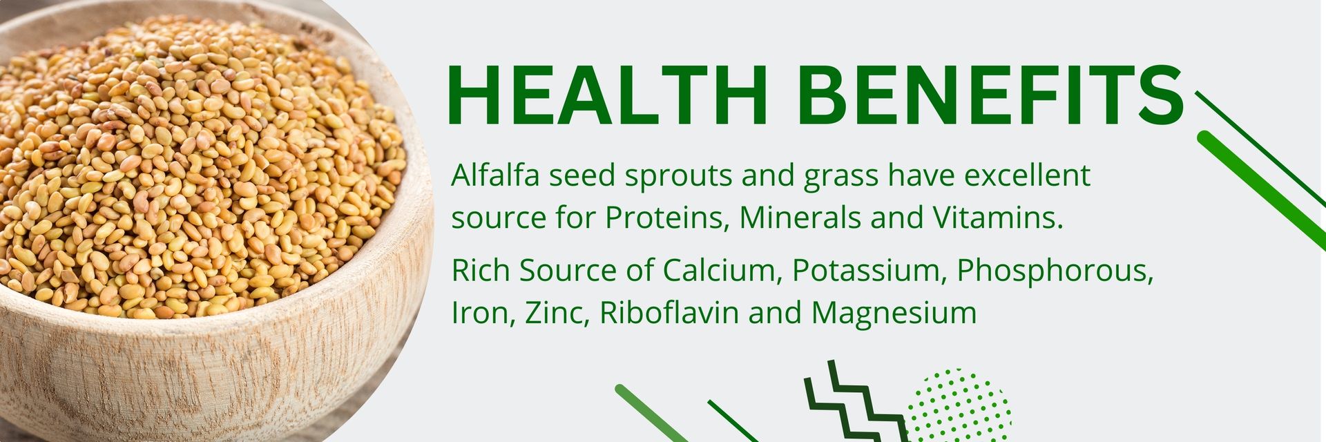 Yuvika Herbs Alfa Seeds 100g | Alfalfa | Medicago Sativa | Lucerne Grass | Herbal Seeds