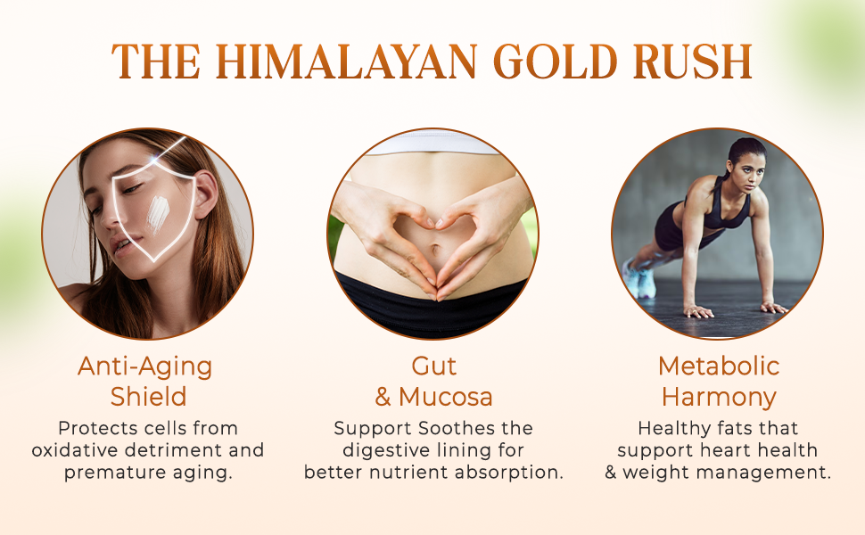 Himalayan Sea Buckthorn Powder-100gm | Anti Aging | Natural Vitamin C, Omega 3 6 7 9, Antioxidants | Super Food for Immunity, Skin Glow, Hair & Gut Health Support | USDA ORGANIC