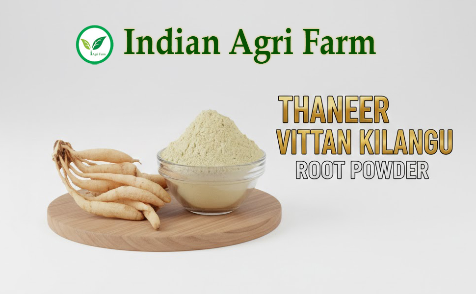 Iagrifarm Thaneer vittan kilangu Powder - 250 gram - Shatavari/Abiruvu/Satamuli Powder