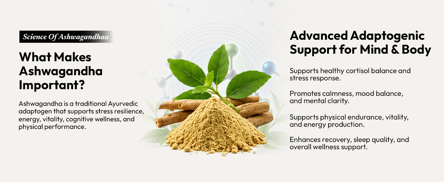 AIWO Ashwagandha Shoden® Capsules 500mg – 35% Withanolide Glycosides, 30 Vegetarian Tablets | Stress Relief, Energy, Mood & Immune Support