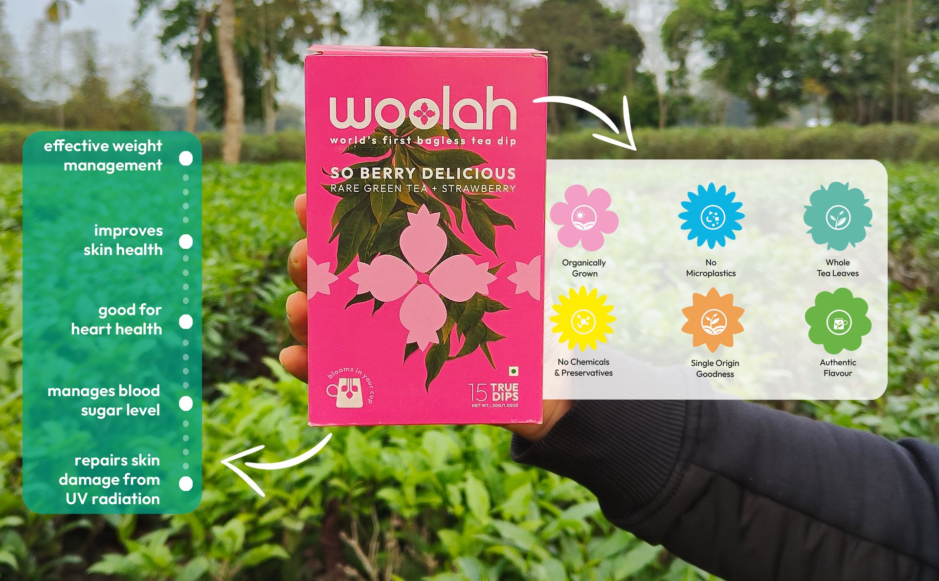 Woolah Rare Assam Strawberry Green Tea | Bagless Whole Leaf Green Tea Dips | Naturally Grown | Rich in Antioxidants | Refreshing Wellness Leaf | Plastic-Free Brewing (15 Dips / 30 Cups)