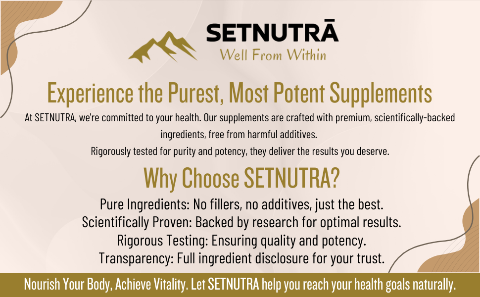 SETNUTRA | Berberine with Milk Thistle Cinnamon, Turmeric & Probiotic | Cost Saver 8in1 Supplement For Adults | Supports Gut Health & Blood Sugar Control | Liver Detox & Healthy Aging | 60 Capsules
