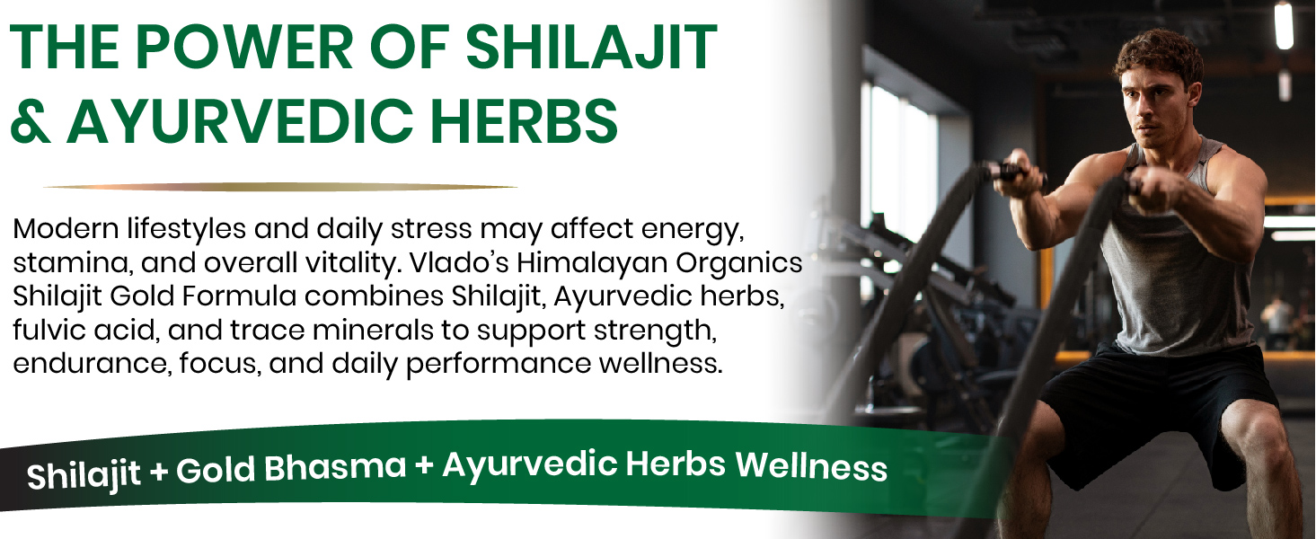 Vlado's Himalayan Organics 100% Pure shilajit with 24 Carat Gold Bhasam - 1100 MG/ Serving Capsules with Ashwagandha, Safed musli, Kaunch beej , Gokshura , Rajat & Swarnat Bhasma +12 more Higy potency Ayurvedic herbs I Extract,75% Fulvic Acid,85+ Trace Minerals | 10x More Powerful Shilajit/shilajeet I Boosts strength, Stamina, Power and Performance , Faster Muscle Recovery ,Restores Vigor and Vitality , Supports Healthy Testosterone Levels , For All Day Energy & Stamina - 60 Natural Capsules