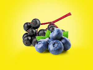NutriBears Immuno Boost with Vitamin C, E, Zinc, Natural Elderberry & Blueberry, Advanced Antioxidants, Immunity Gummies for Kids and Adults (30 Gummy, Raw Mango Flavour)