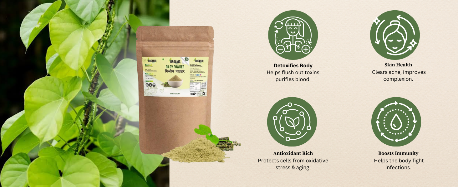 Giloy/Guduchi/Gulvel Stem Powder - 200gm | Amruthavalli podi | Tinospora cordifolia | No Added Preservative