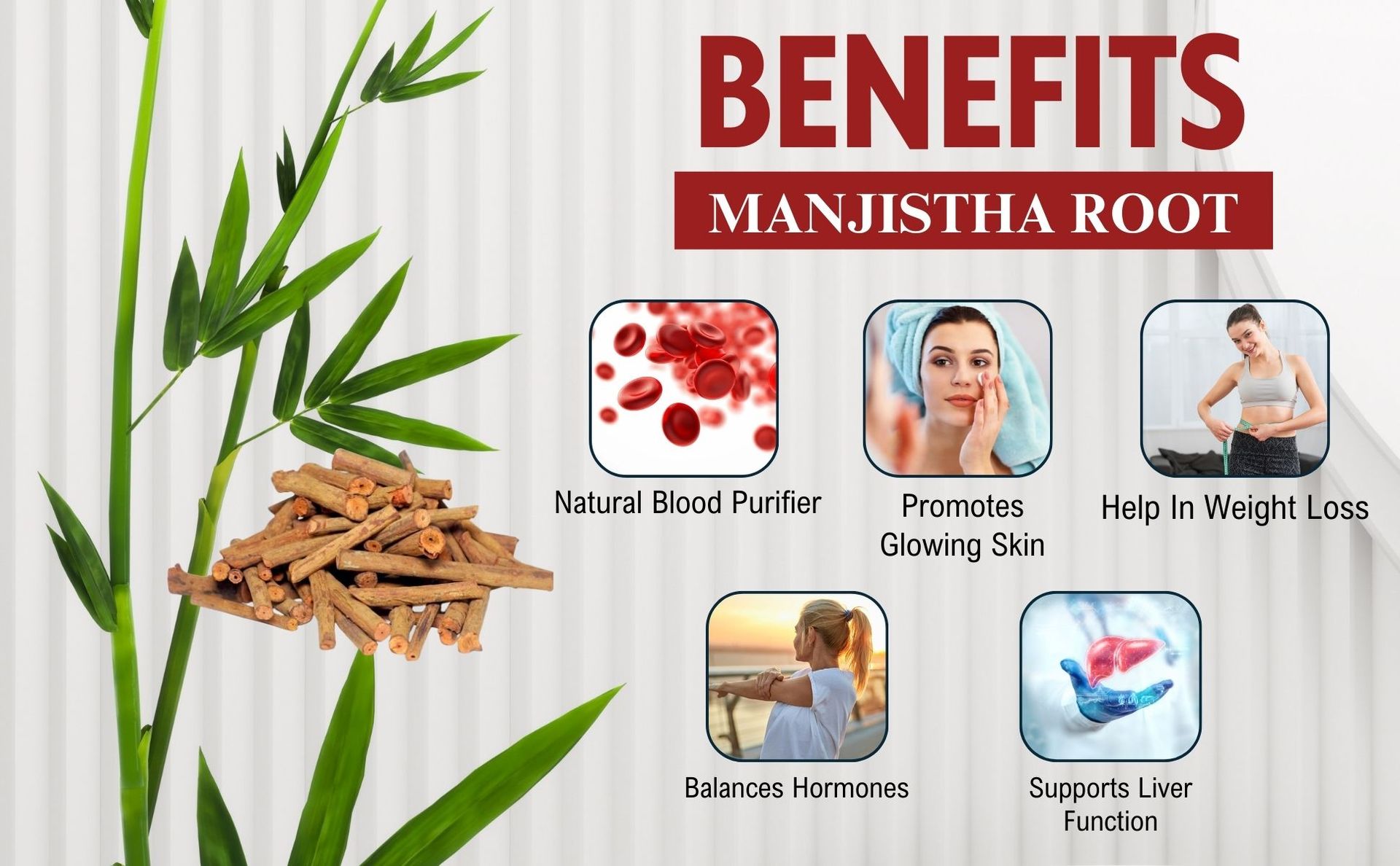 Birju Mahavir Manjistha Root (200 gm) | Manjistha Root Sticks | for Eating | Majith, Indian Madder, Manjishtha, Manjishta, Manjishta, Manjishta