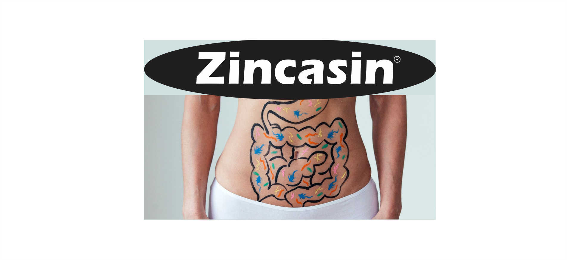 Zincasin (LeeWell) Pure Zinc Carnosine, 120 Vegetarian Capsules