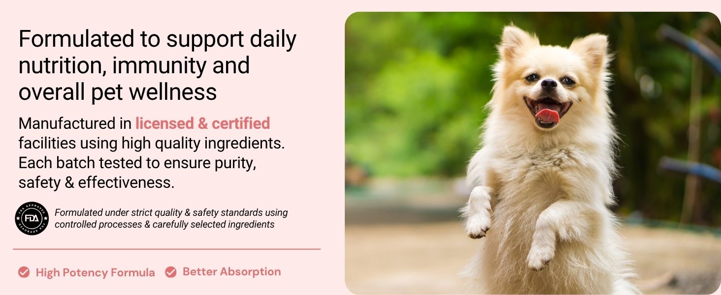 VITAM Paws® 200 ML, Multivitamin for Dogs and Cats with Minerals & Omega, Supports Skin, Heart, Brain Health & Immunity Growth, Daily Supplement Suitable for All Breeds & Sizes