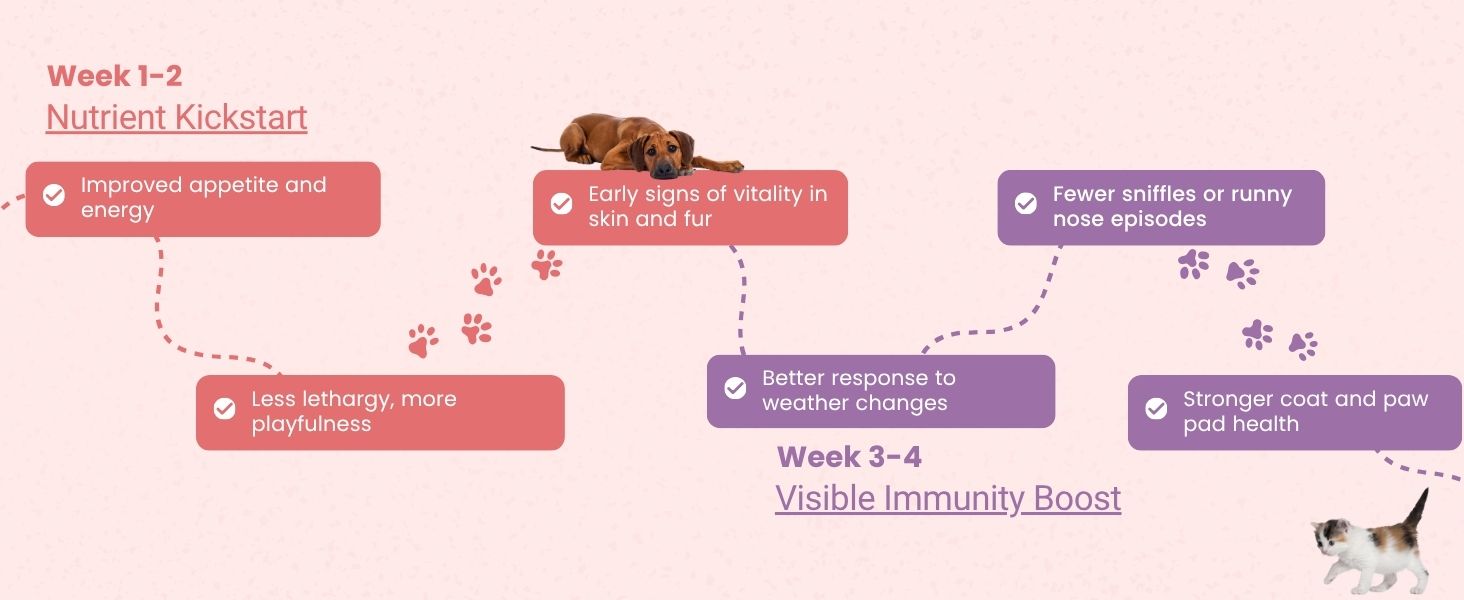 VITAM Paws® 200 ML, Multivitamin for Dogs and Cats with Minerals & Omega, Supports Skin, Heart, Brain Health & Immunity Growth, Daily Supplement Suitable for All Breeds & Sizes