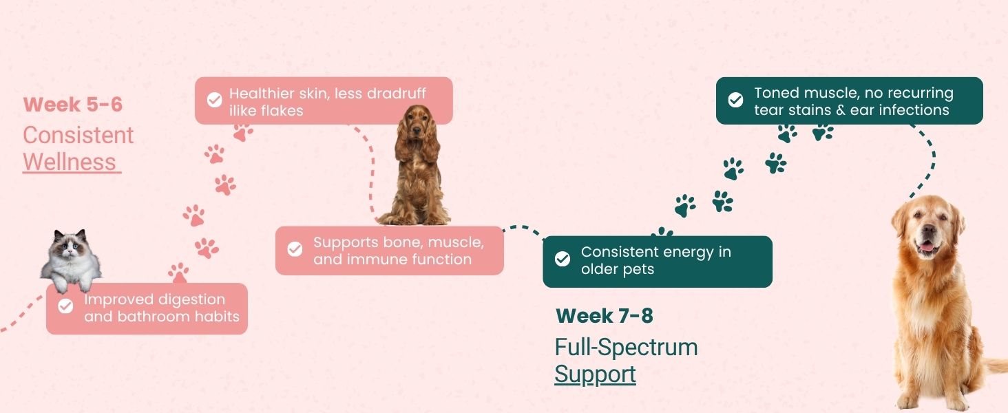 VITAM Paws® 200 ML, Multivitamin for Dogs and Cats with Minerals & Omega, Supports Skin, Heart, Brain Health & Immunity Growth, Daily Supplement Suitable for All Breeds & Sizes