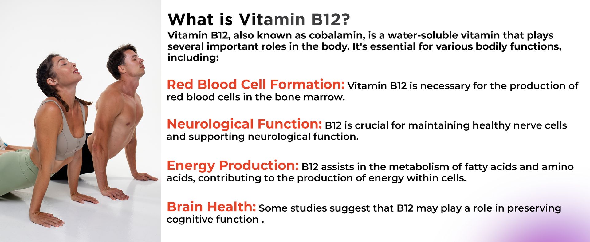Health Veda Organics Plant Based Vitamin B12 Supplement with Moringa | B1, B2, B3, B5, B6, B7 & B9 | Boosts Energy, Brain, Nerve & Heart Health | 60 Veg Capsules