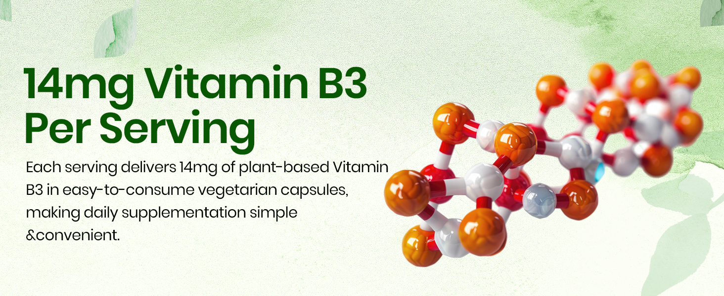 Vlado's Himalayan Organics Plant-Based Vitamin B3 14Mg Supplement - 120 Veg Capsules | Supports Healthy Skin and Heart | Good For Men and Women