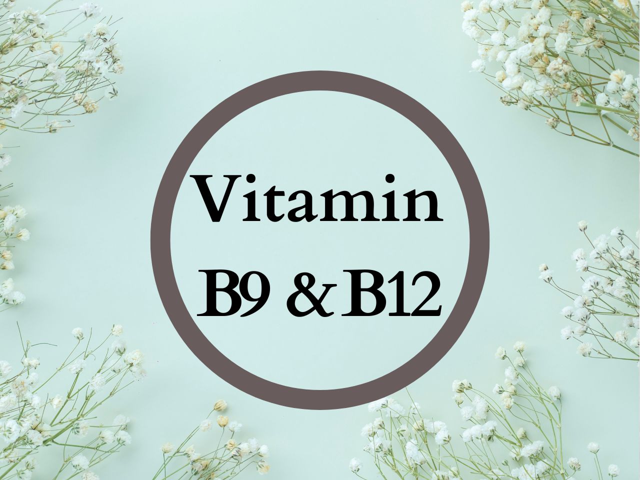 Sylara Biotin 120 Tablets 10000mcg with Hair Vitamins and Skin Vitamins - Vitamin B1, B2, B3, B5, B6, B7, B9, B12 - Capsules Supplement 10000 mcg