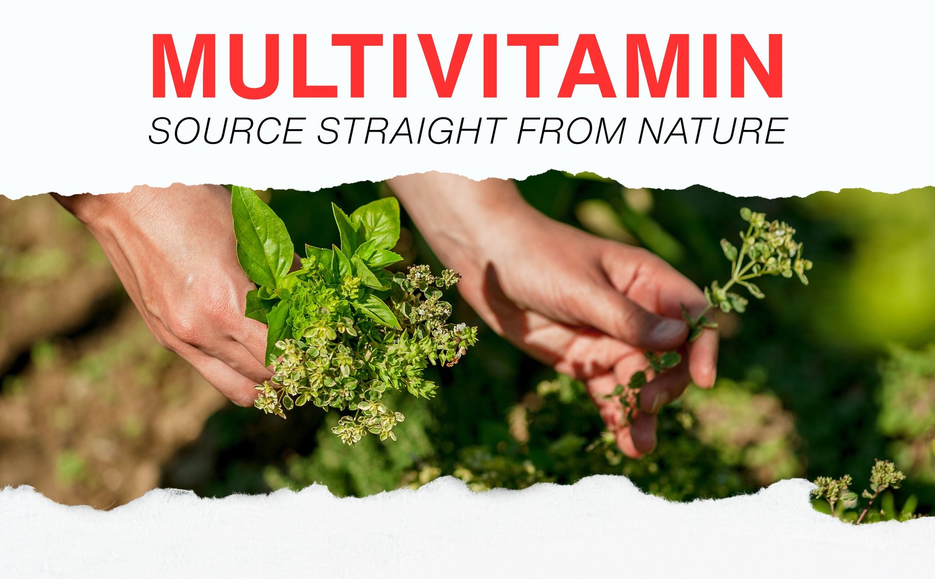 Multirix Multivitamin & Multimineral Softgel Capsules – For Men & Women | With Antioxidants for Immunity, Energy & Overall Wellness | 10 Capsules