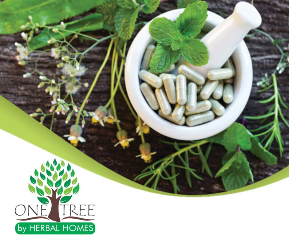 One Tree by Herbal Homes Methi/Fenugreek 500mg Extract - 60 Vegan Capsule