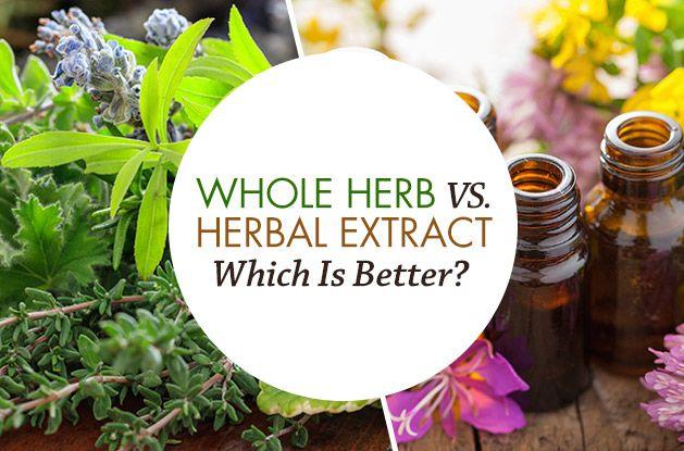One Tree by Herbal Homes Methi/Fenugreek 500mg Extract - 60 Vegan Capsule
