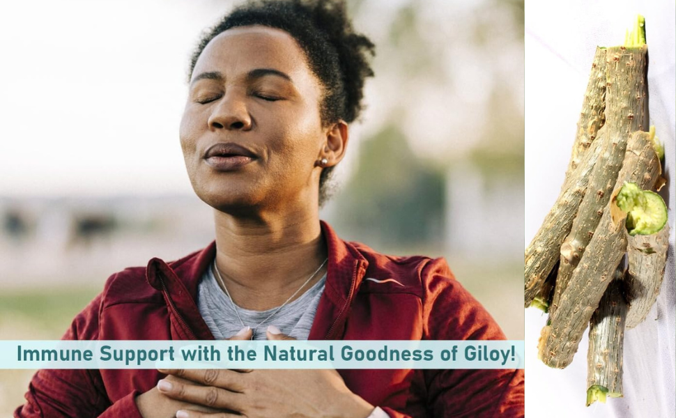 Way2Herbal Giloy Tablets (700 Count Pack of 1)