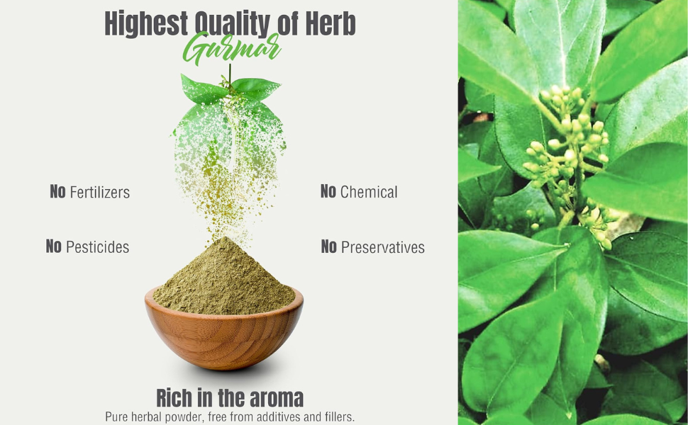 Way2Herbal Gurmar Powder (1 Kg Pack of 5)