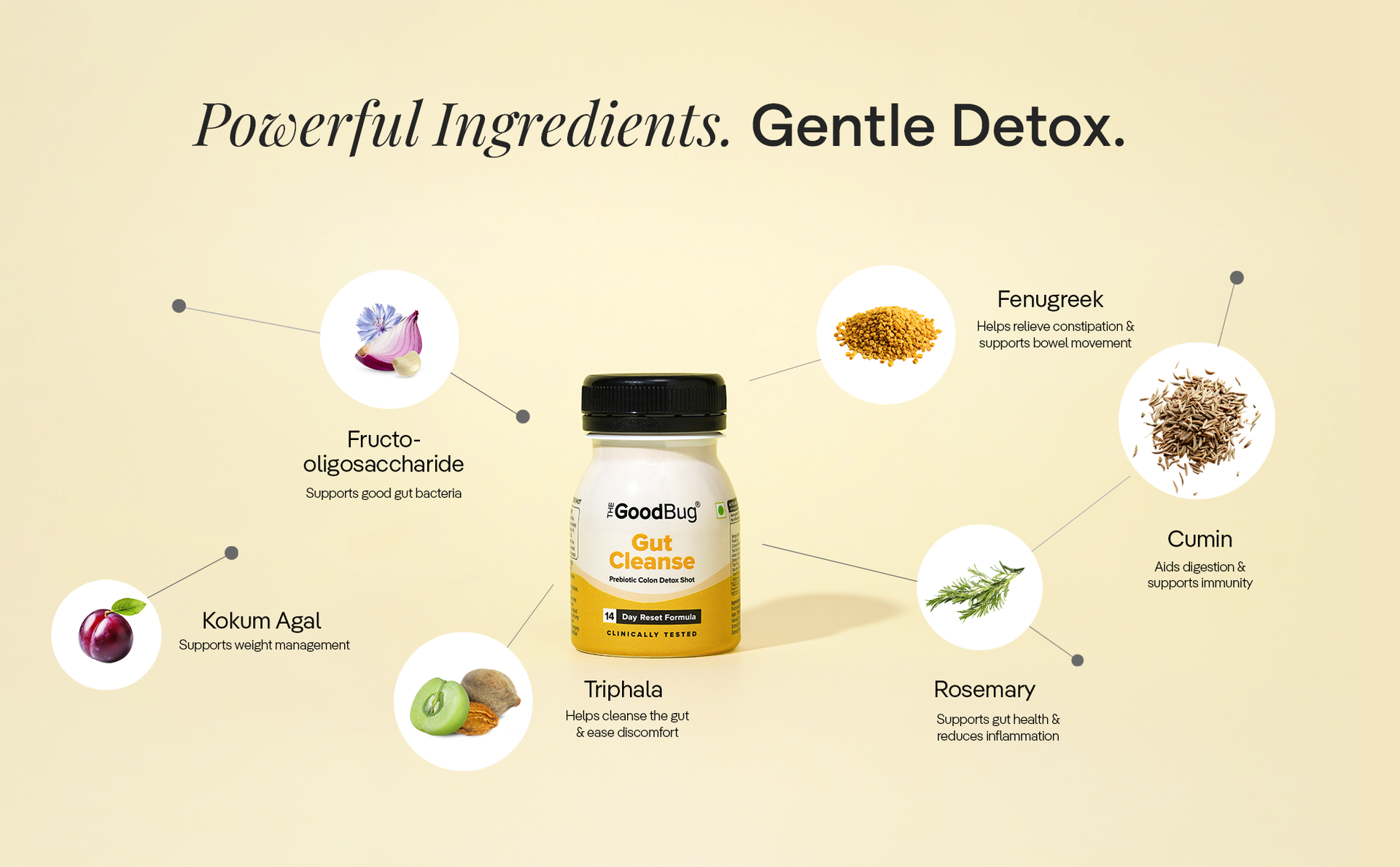 The Good Bug Gut Cleanse - 14 Prebiotic Colon Detox Shots | Improves Probiotic Activity, Gut Health & Digestion | Tackles Bloating, Gas & Constipation