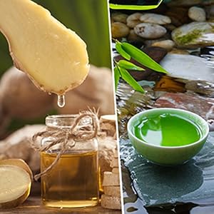 100% Herbal And Gentle Ingredient Detox Foot Pads, 10 Pieces, Natural Ingredients for Sleep Aid, Pain Relief, Toxin Removal with Bamboo Vinegar and Acupoint Micro-Massage Technology