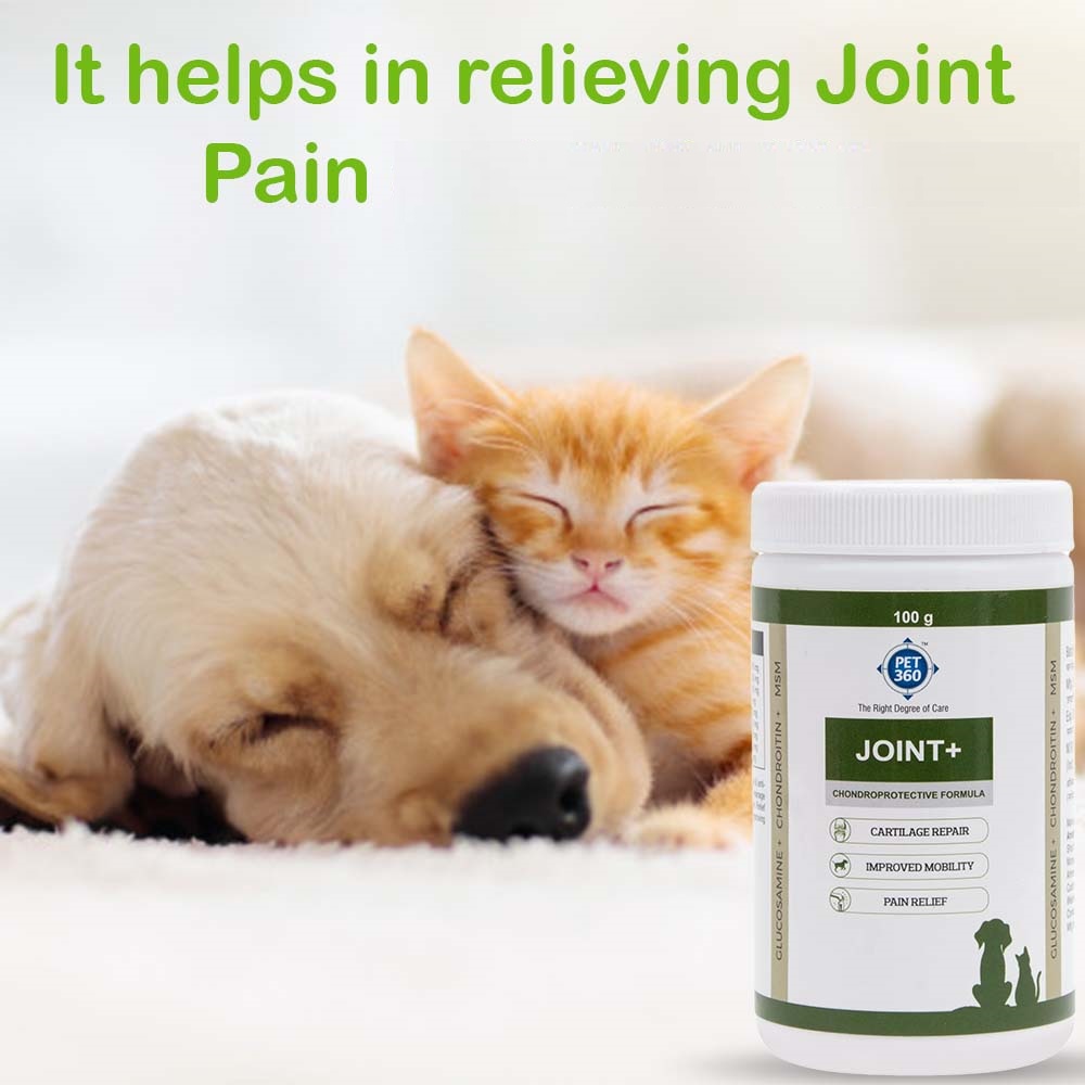 PET360 Joint+ 100 GMS, Hip, Joints, Cartilage Supplement for Dogs & Cats