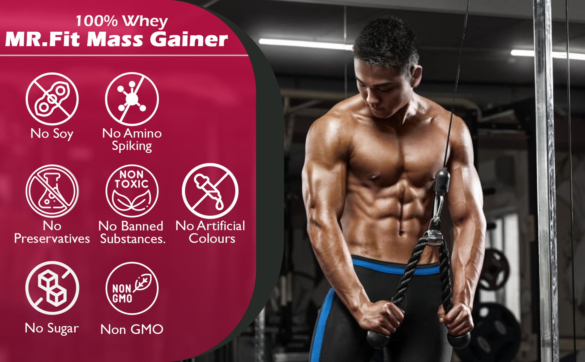 Nakpro MR. FIT Super Fast Weight Gainers/Mass Gainers (1 Kg, Cookies & Cream)