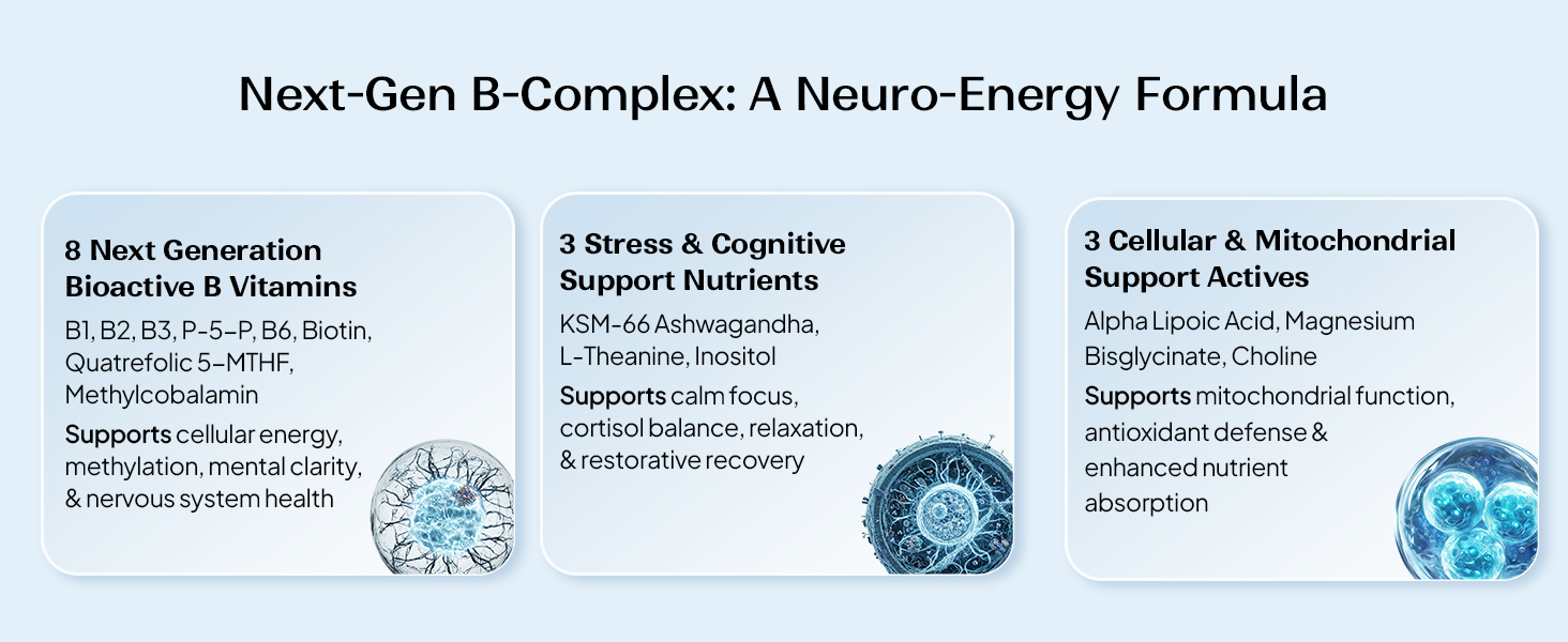 Miduty Liposomal B-Complex | Methylated Vitamin B-Complex with 8 Bioactive B-Vitamins, Quatrefolic, Choline, ALA, KSM-66, Mg & L-Theanine | Daily Energy, Stress & Focus Support for Men & Women | 60 Veg Caps
