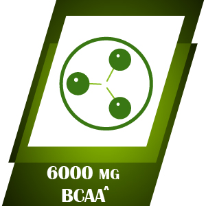 XLR8 BCAA++ Powder Supplement 2:1:1 with Vegan Instantised BCAA 5000mg,1500mg Glutamine, 500mg Arginine &180 Electrolytes (225 g (Pack of 1), Guava)