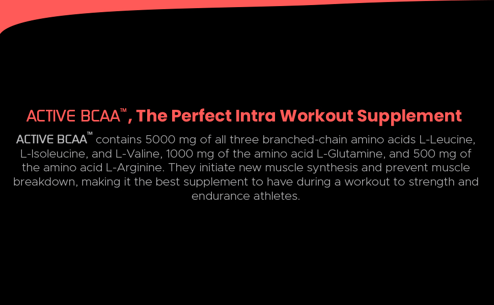 Steadfast Nutrition Active BCAA Pre Workout BCAA Supplement Muscle Recovery & Endurance Intra workout (Lemon, 30 Sachets, 450g)