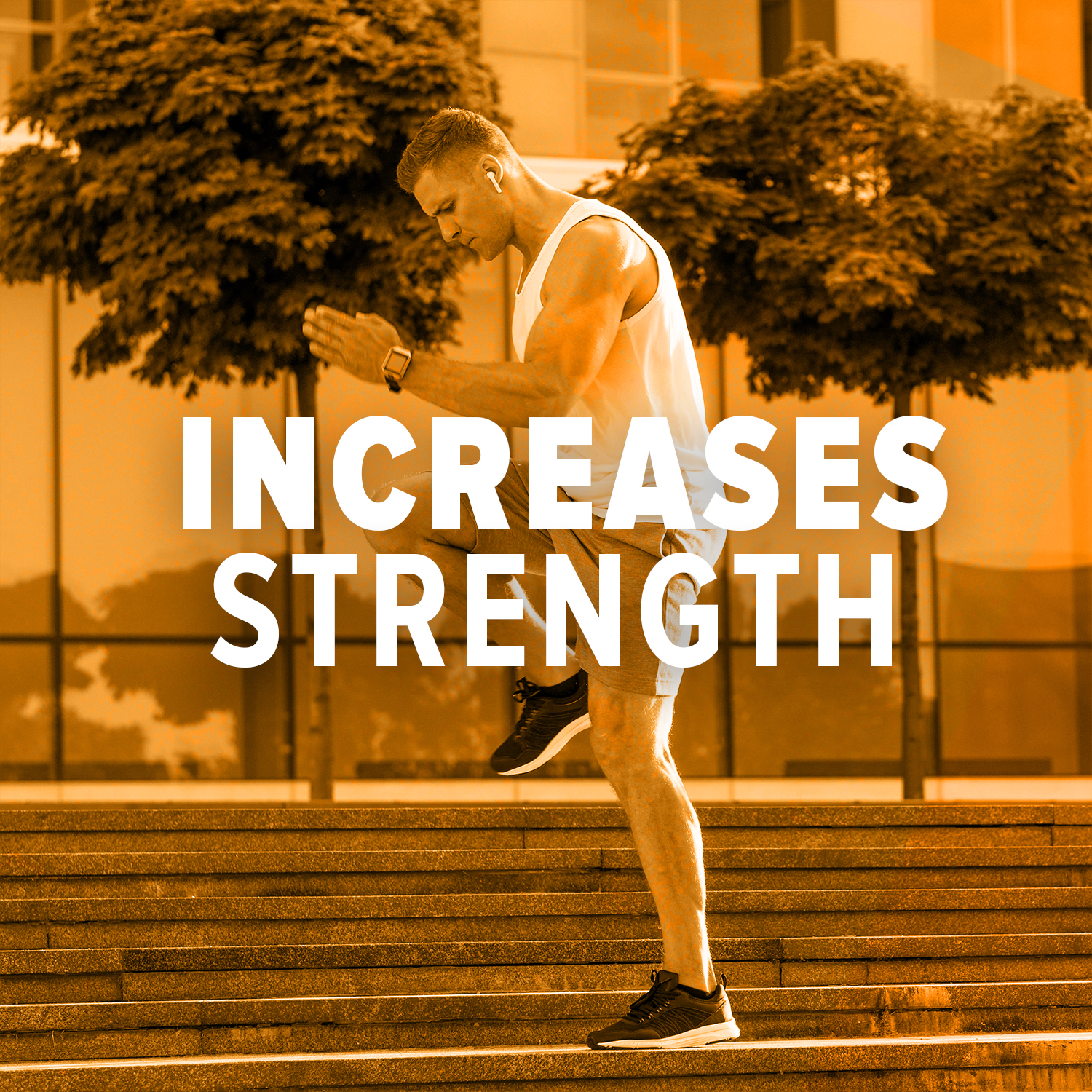 MyFitFuel Micronized Creatine Monohydrate (200 Mesh - Easily Absorbed by Body) | 200 gm, (Natural)