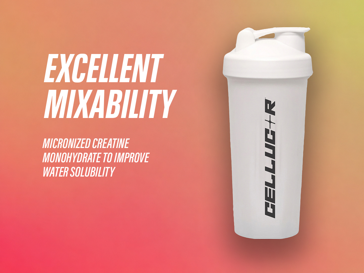 Cellucor Creatine Cor-Performance| Mango Desire | 125g | 33 serves| From the Makers of C4 | Micronized for Rapid absorption | Increases Muscle Strength & Performance
