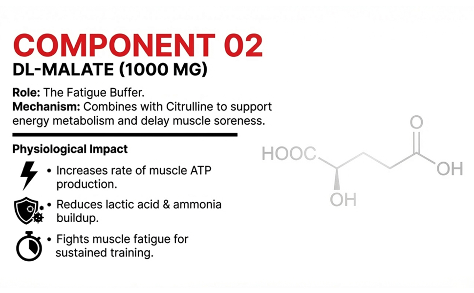 L-CITRULLINE DL-MALATE 2:1 | 3000 MG NITRIC OXIDE BOOSTER | MUSCLE RECOVERY & ENDURANCE | CARDIO HEALTH | VASCULARITY | BLOOD FLOW & PERFORMANCE | PRE-WORKOUT | 83 SERVINGS | FSSAI Approved