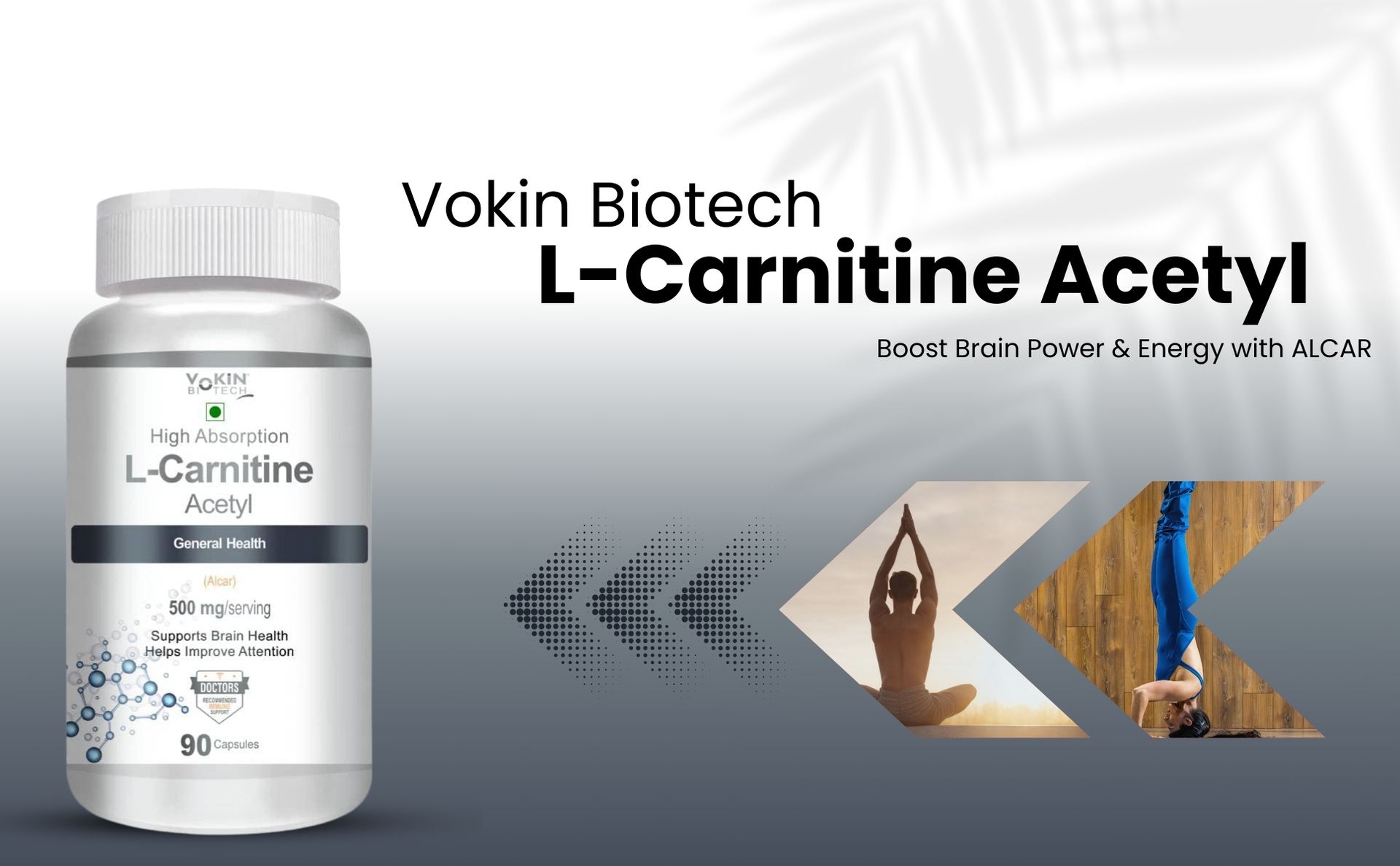 Vokin Biotech L-Carnitine Acetyl (ALCAR)- Support Brain Health- 500 mg – 90 Capsules