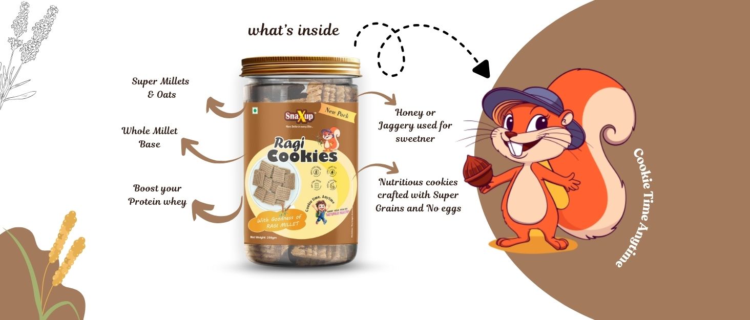 Snaxup Millets Ragi Protein Cookies | Whey Protein, Healthy Flax Seeds | Sugar Free Cookies Biscuits (250g, Ragi Cookies)