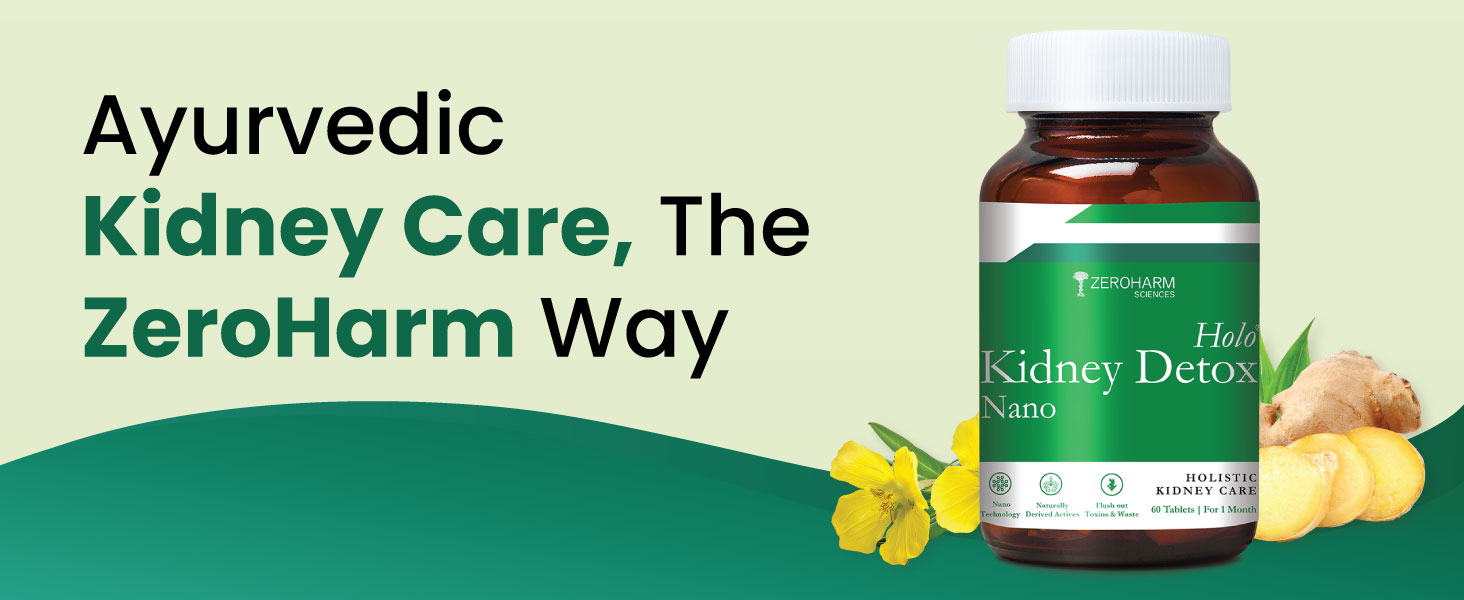 ZEROHARM Holo Kidney Detox | Herbal Creatinine & Kidney Support with Varuna, Punarnava,Pathachata | Kidney Detox & Cleanse for Men & Women | Nano Formulated Ayurvedic Health Supplement - 60 Tablets