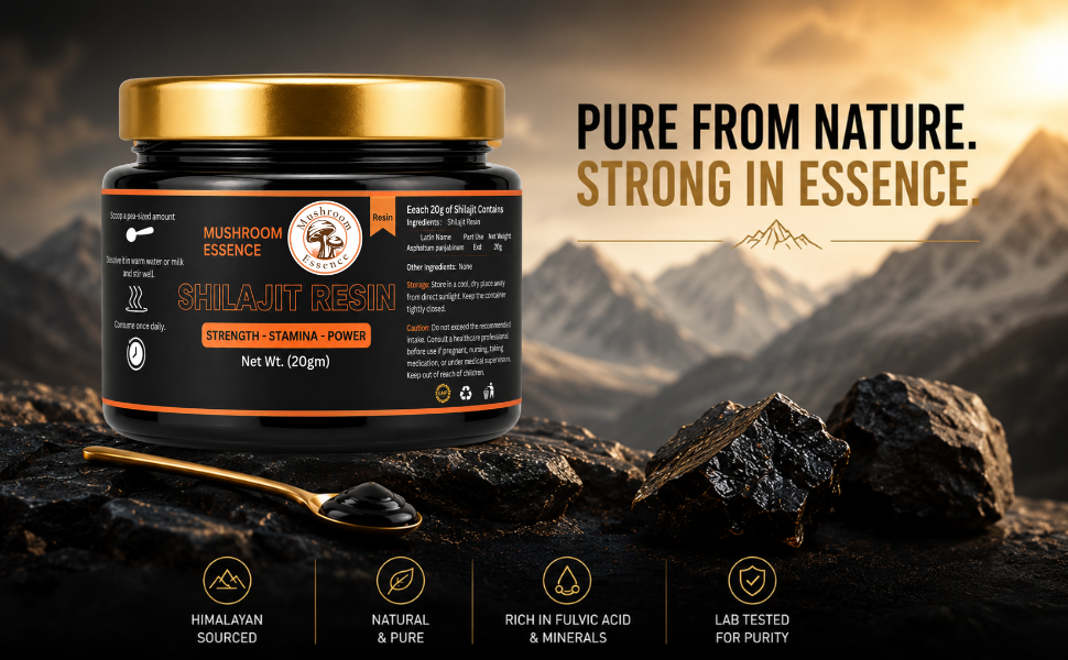 Shilajit Resin | Purified Himalayan Shilajit Resin |20g (pack of 1) for Energy & Immunity