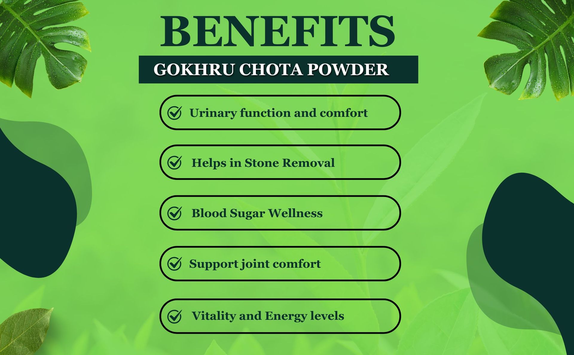 Birju Mahavir Gokhru Powder - Gokshura Powder, Multi-colored, 100 gram