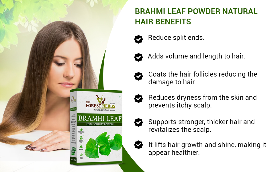 The Forest Herbs Natural Care from Nature Brahmi Leaf Powder, for Manage Stress & Boost Brain Health & Preservative Free, 200 g