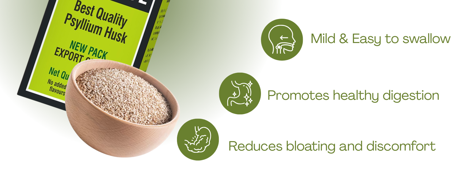 Baidyanath Ayurvedant Isabgol (Psyllium Husk) Powder, 100 g