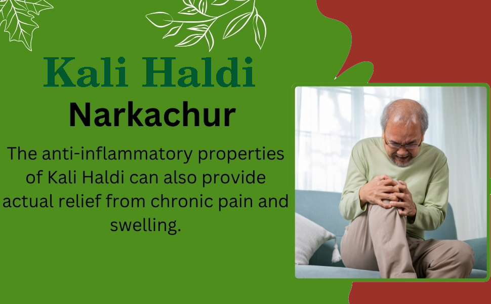 Kritanjali Creations Narkachur Kali Haldi Nar Kachur Curcuma Zerumbet Zedoary Root Black Turmeric Whole Root, Natural Raw Additive-Free, 100% Pure Curcuma Caesia, 100GM