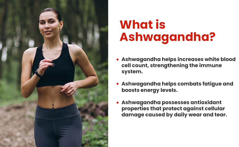 Baidyanath Ayurved Ashwagandha Tablets - 60Tab | for General Wellness Tablets (Pack of 2)