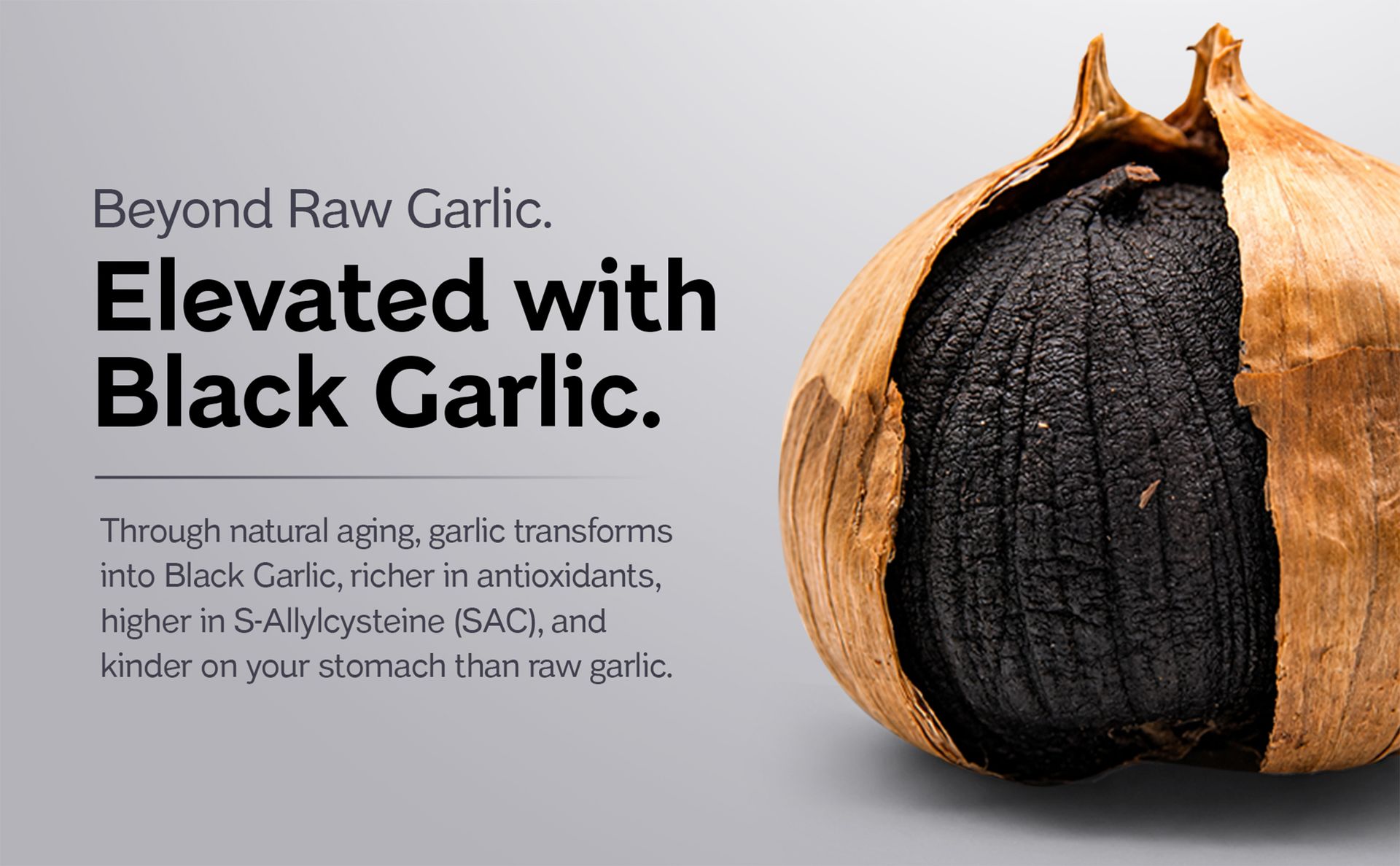 Jelli Black Garlic Jelly Stick | Korean Aged Black Garlic (500mg) with 0.5% S-Allylcysteine (SAC) | Juicy Apple Flavor | No Added Sugar | Ready-to-Eat Daily Jelly | 15 Sticks (15g Each)