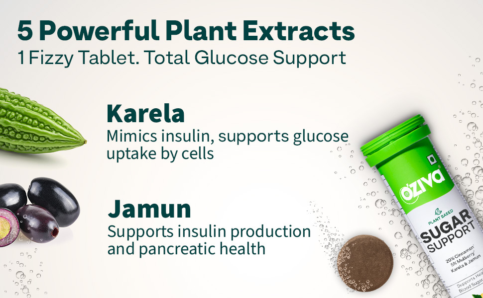 OZiva Sugar Support Effervescent, Blood Sugar Control, 30 Tabs