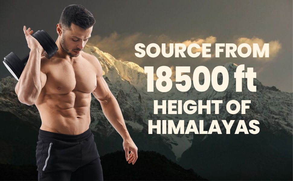Himalayan Pure Shilajit Resin 25gm for Strength, Stamina, Focus,Vitality & Performance | Pack of 1